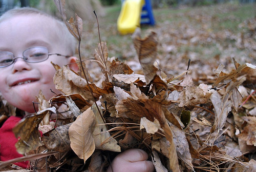 Leafyliam