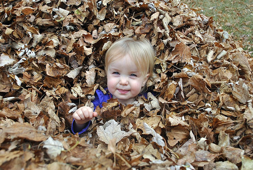 Leafgirl