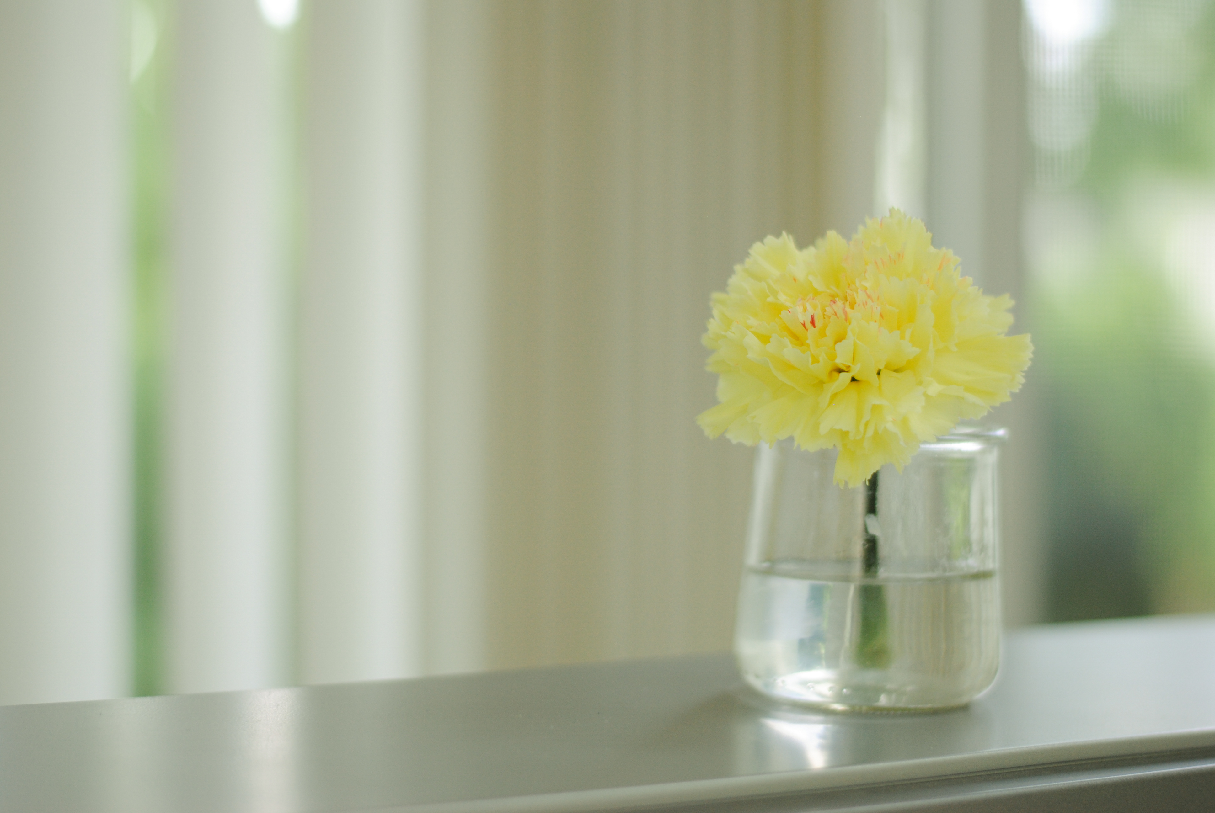 yellow flower in a glass jar